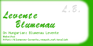 levente blumenau business card